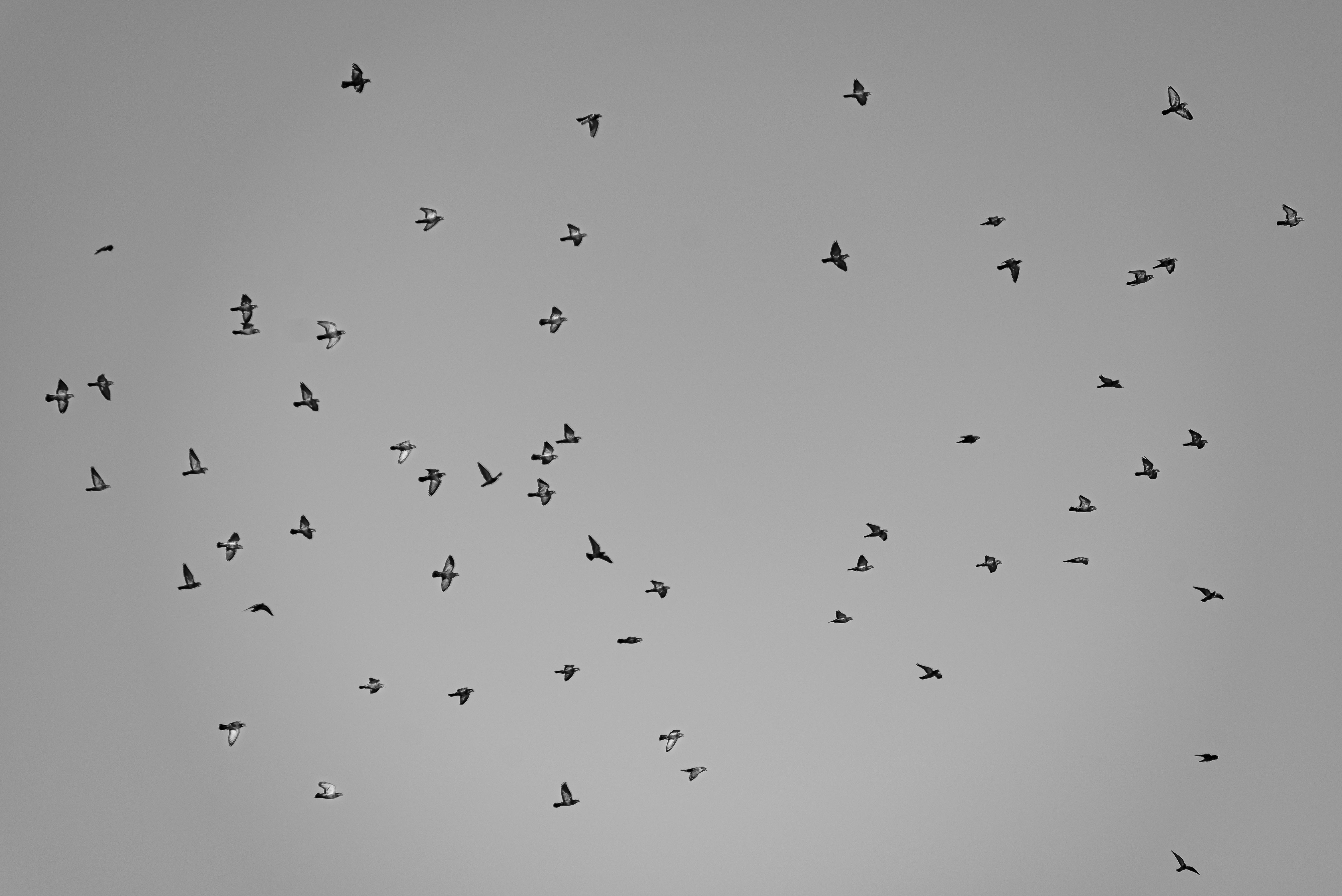 Kostenlos Kostenloses Stock Foto zu arte urbana, ästhetisch, bewegung Stock-Foto