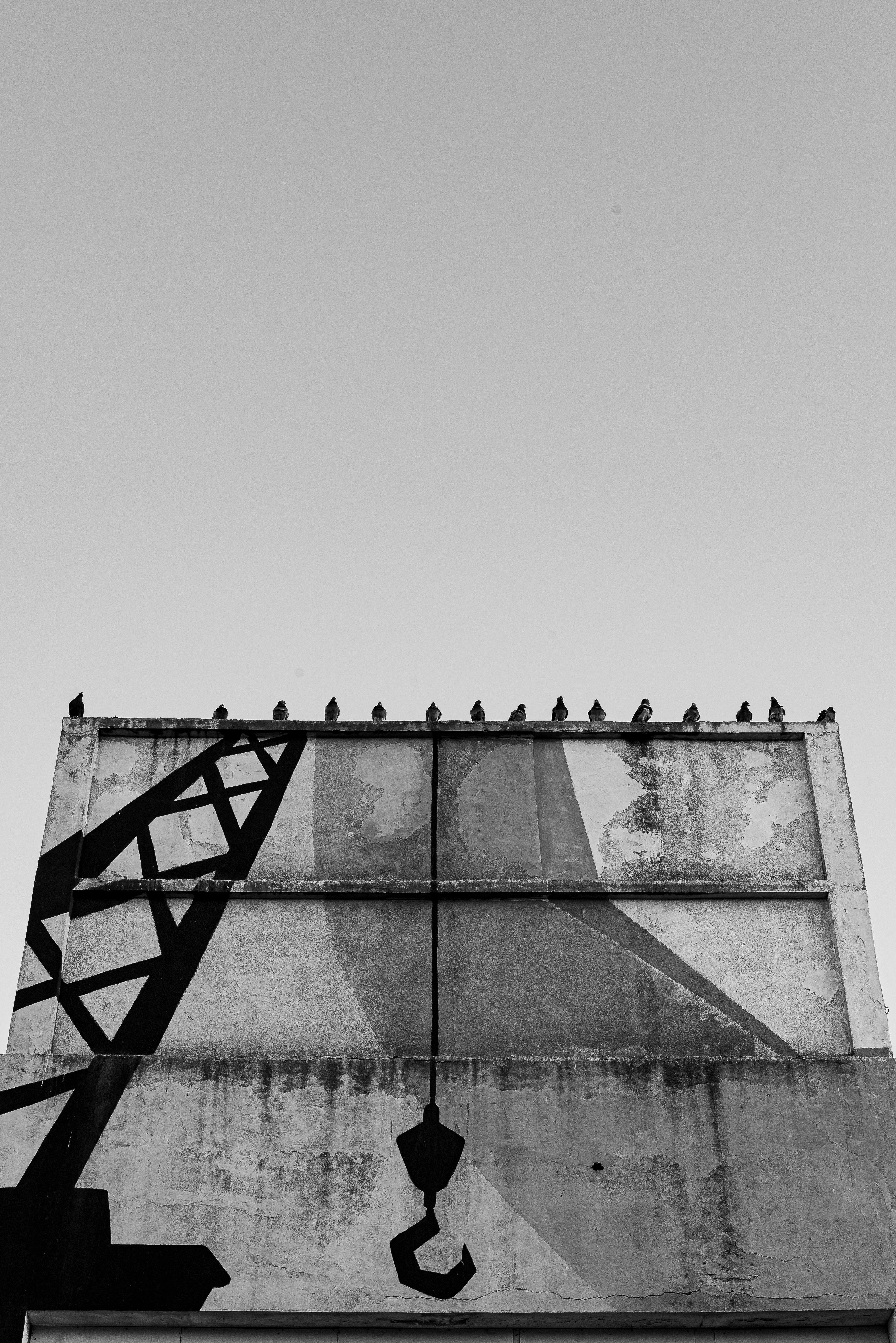 Free Abstract urban mural with birds on top of a building in monochrome. Stock Photo