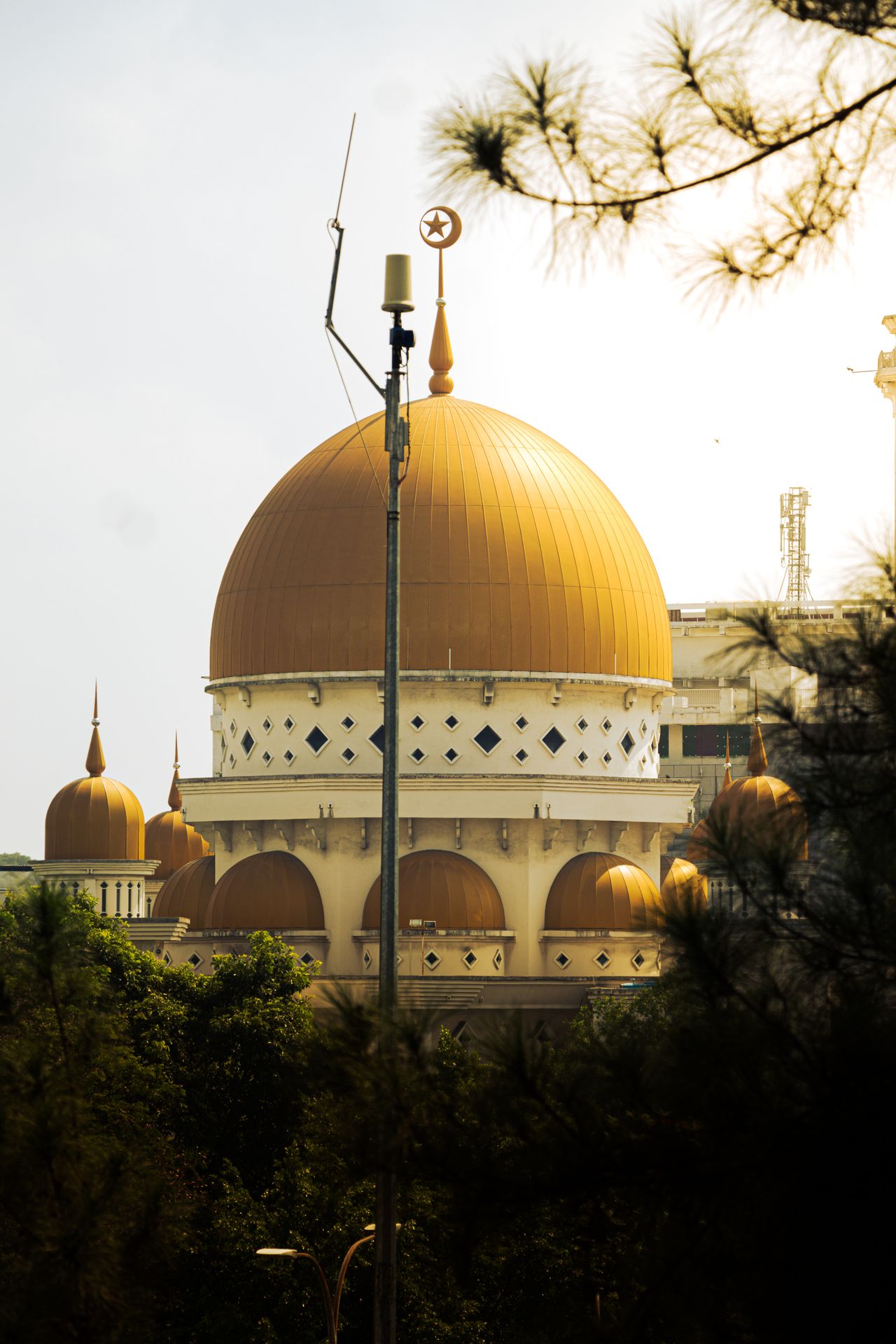 Beautiful mosque with striking golden domes seen through lush green trees.