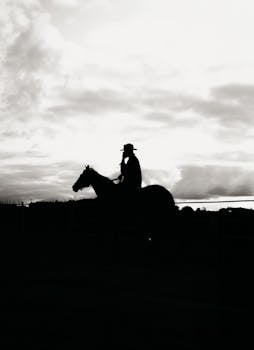Free stock photo of cowboy, horseback, riders