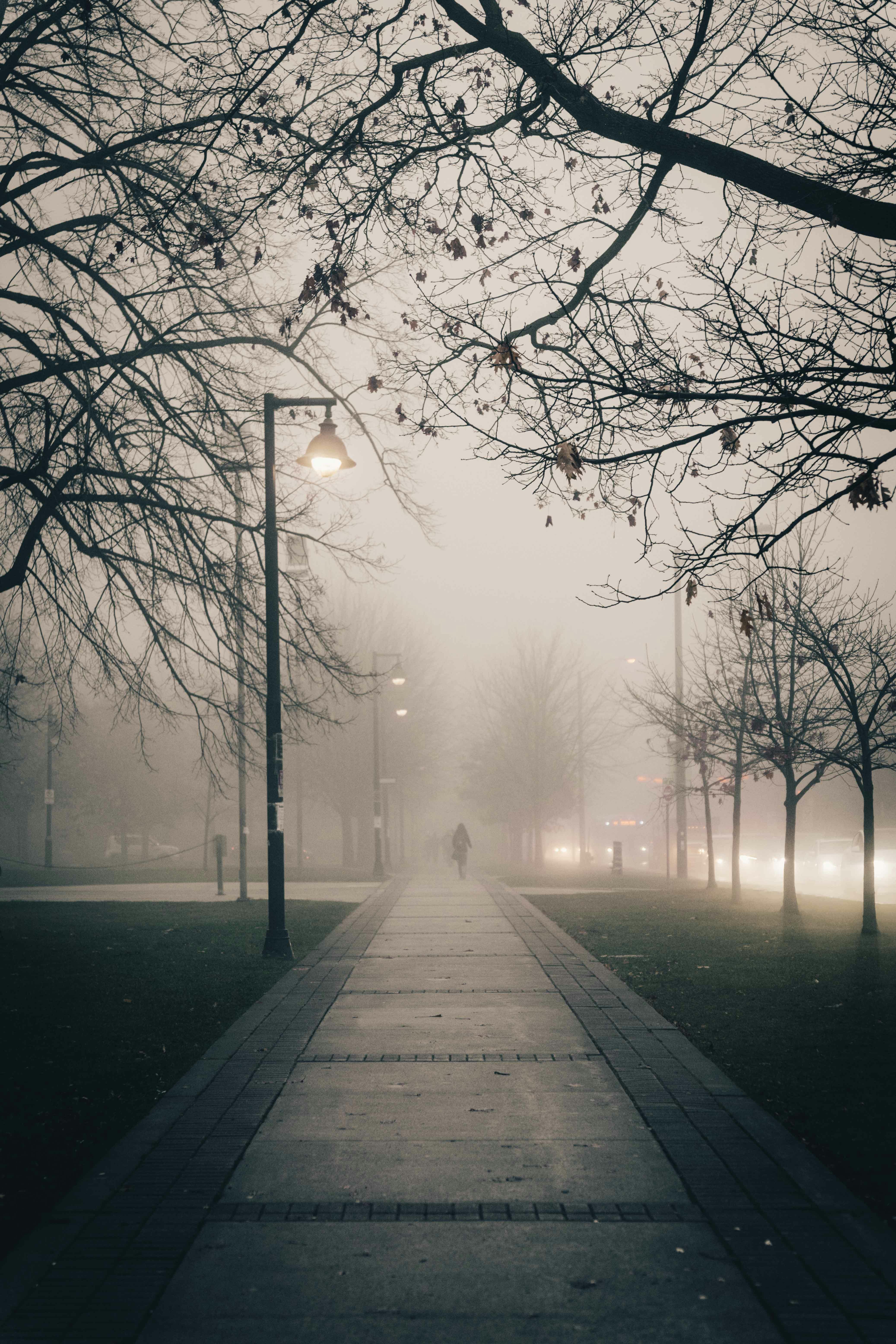 A serene and misty winter morning in a Toronto park with a lone figure walking down a foggy path.