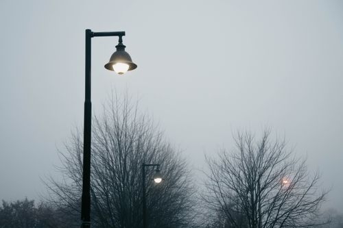 Free Misty evening view with illuminated street lamp and bare trees in Toronto. Stock Photo