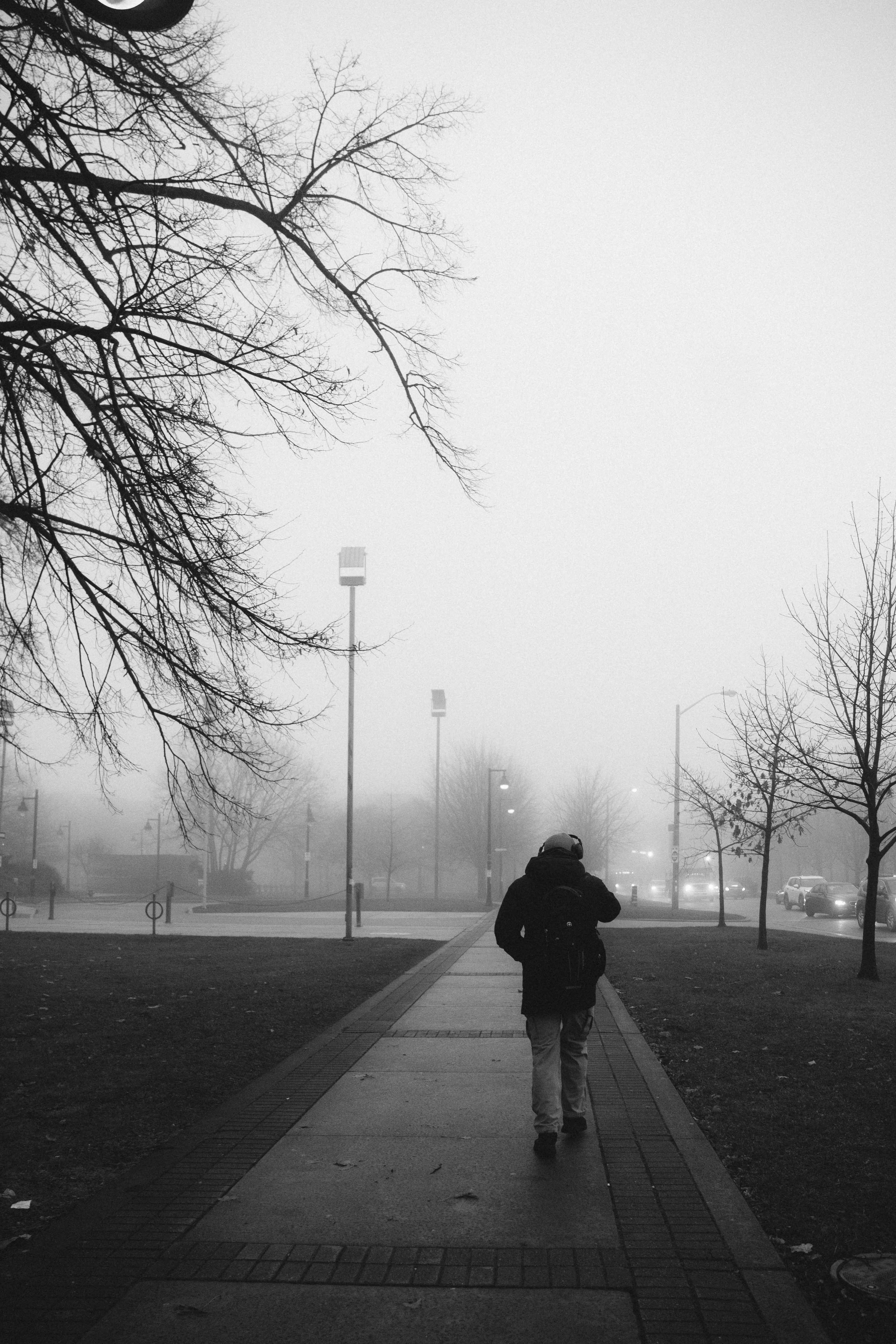 Black and white photo of a lone person walking through a foggy Toronto neighborhood.