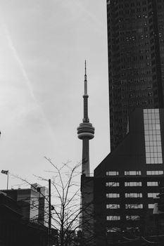 Dramatic black and white view of Toronto's CN Tower amidst downtown buildings.
