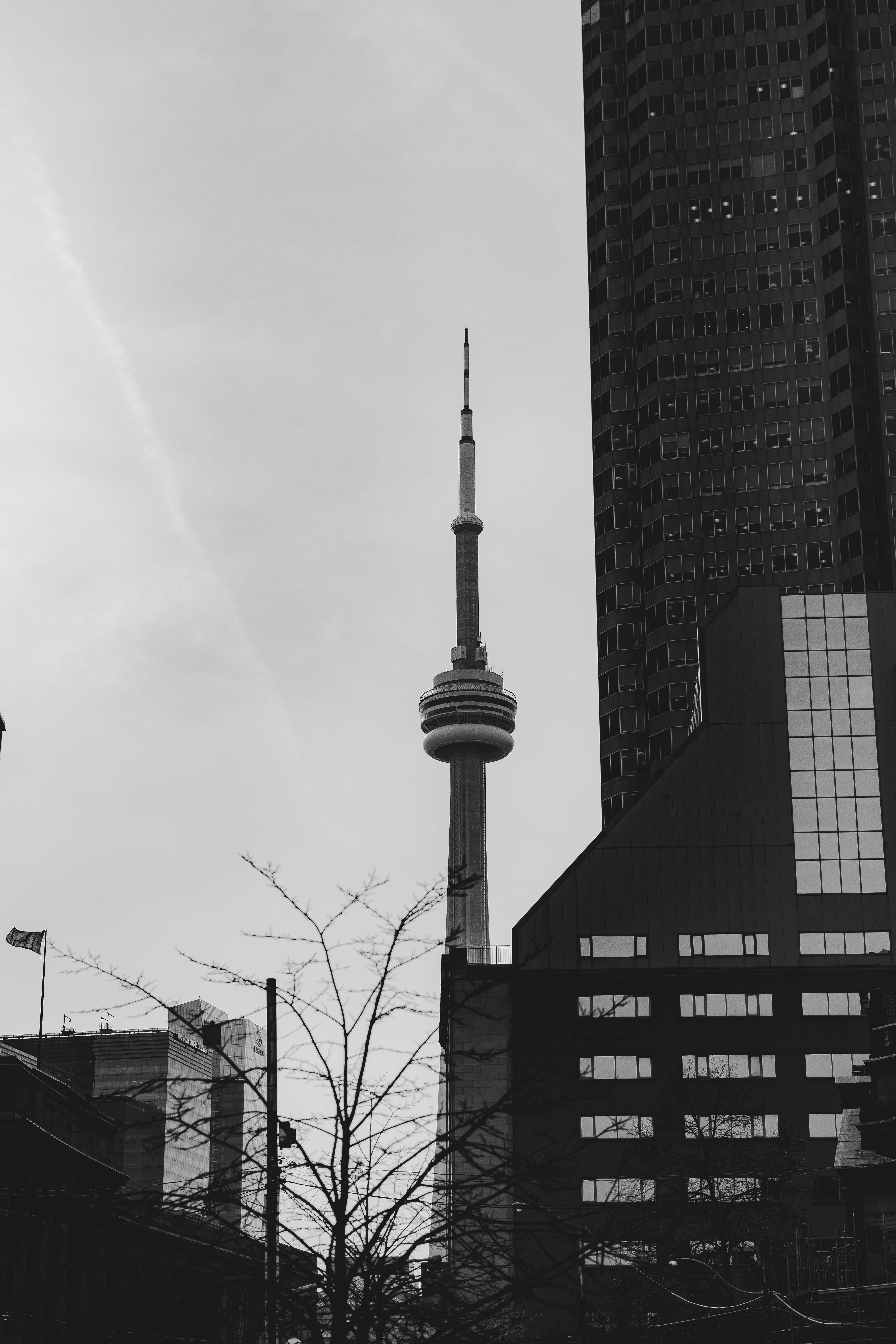Fresh Look at Toronto Skyline Featuring The Iconic Cn Tower