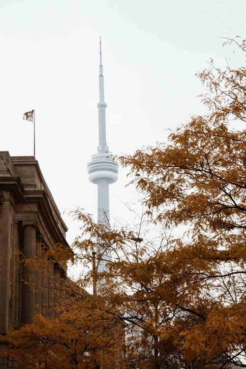 Free Toronto's CN Tower seen amidst autumn foliage and a historic building, symbolizing urban charm. Stock Photo