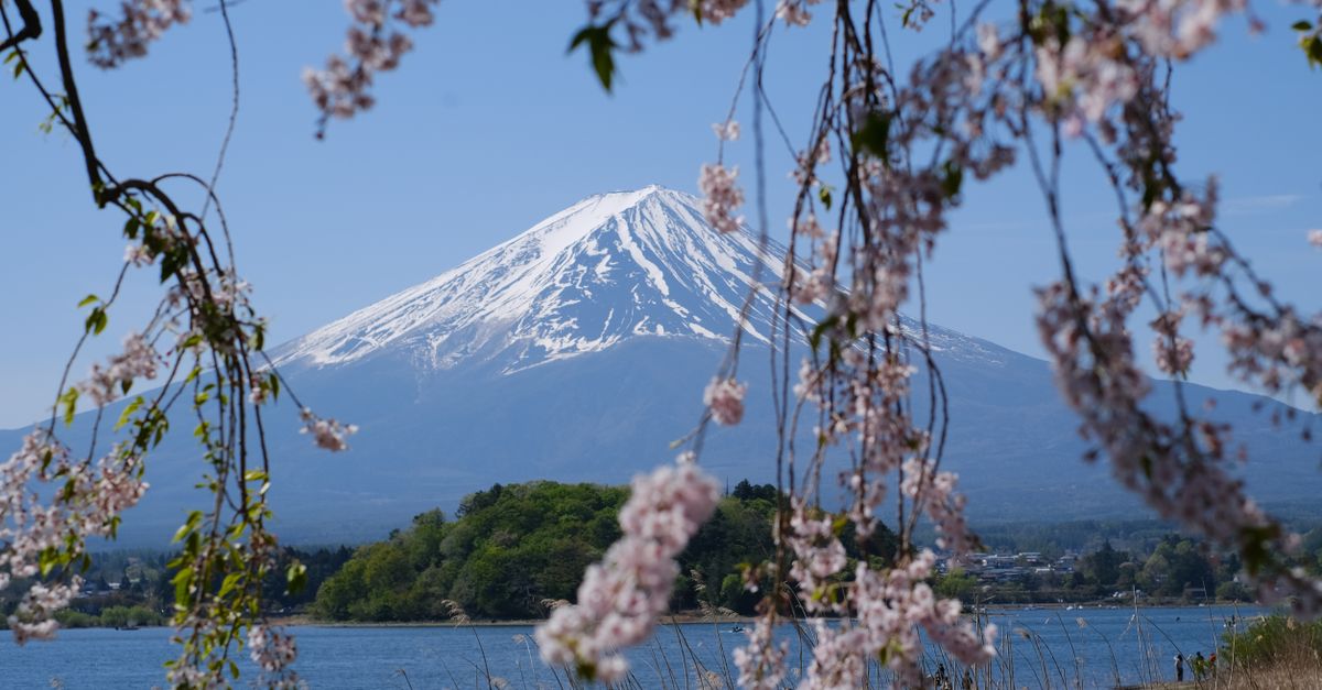 Japonia