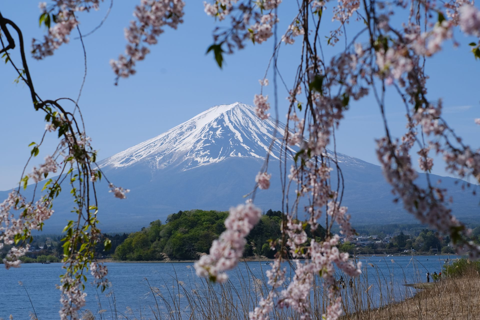 Ultimate Japan Travel Guide: A Country That Operates on a Different Frequency