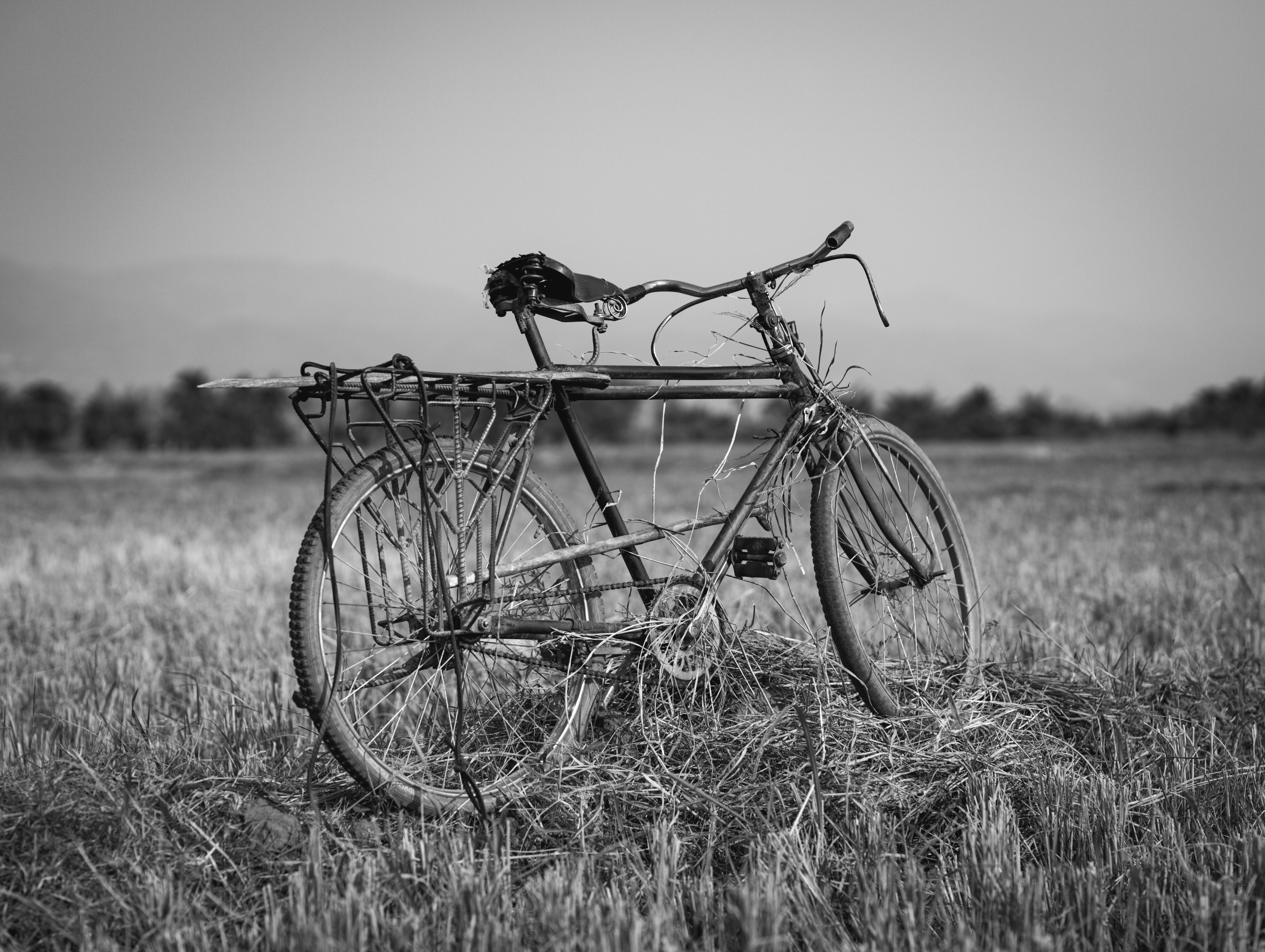 A vintage bicycle with hay in a field in Burundi, captured in black and white for a classic look.