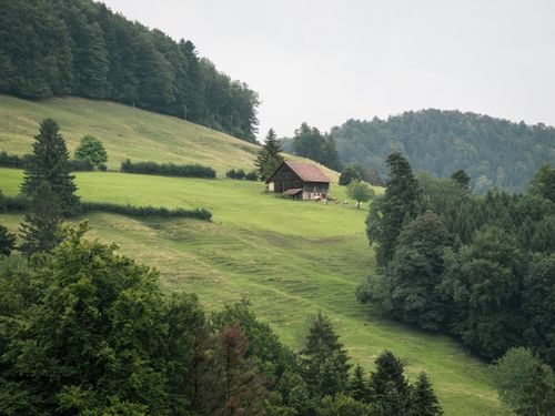 Free A serene rural landscape featuring a lone barn on a lush green hillside surrounded by dense forest. Stock Photo