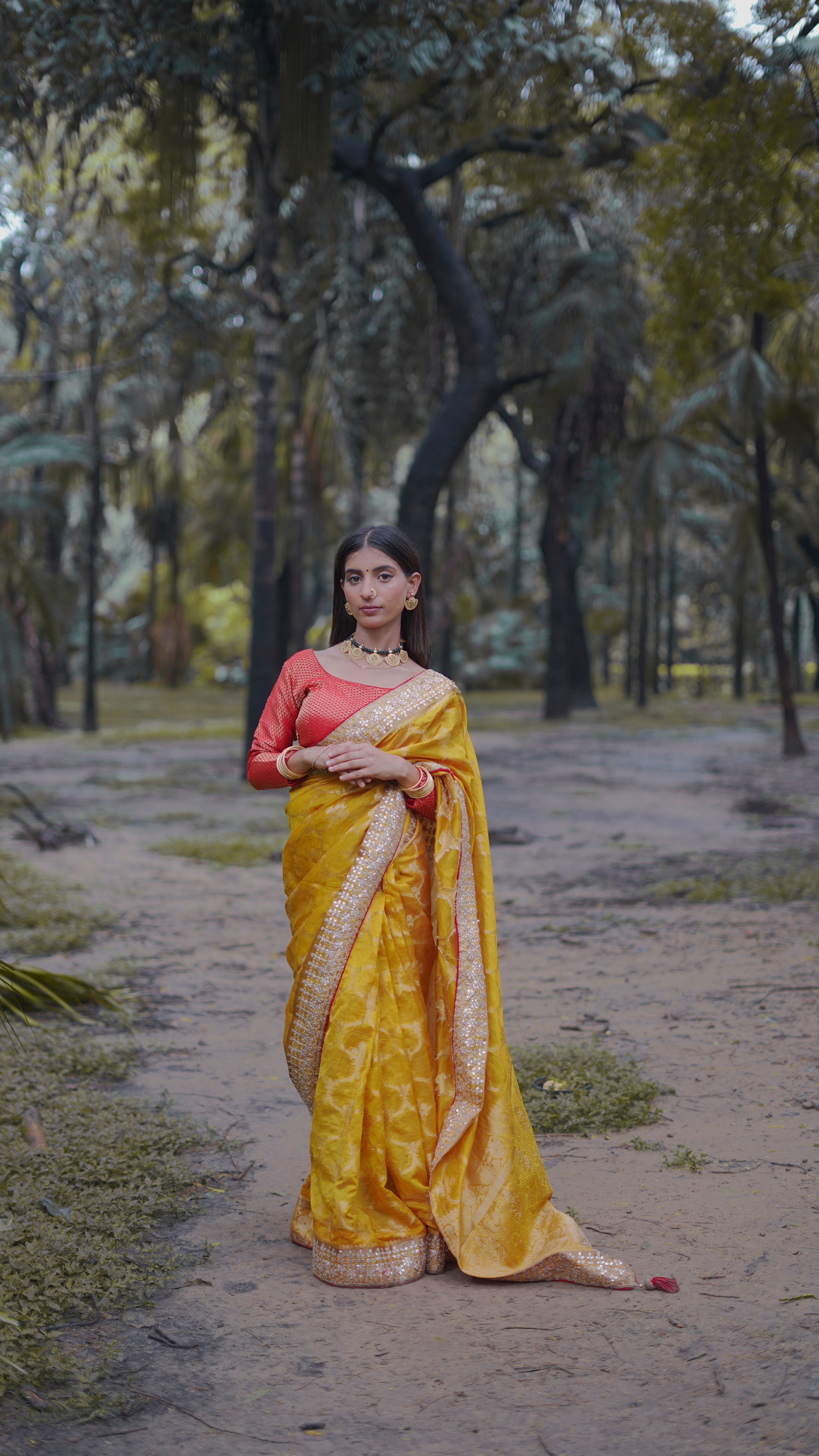 Elegant Indian Woman in Traditional Sari Outdoors · Free Stock Photo