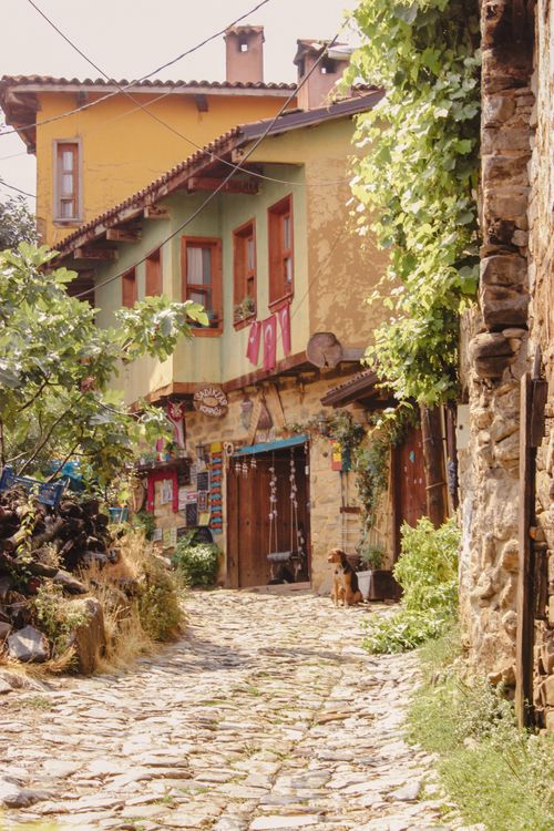 Free Picturesque cobblestone street in a quaint old town, exuding rustic charm. Stock Photo