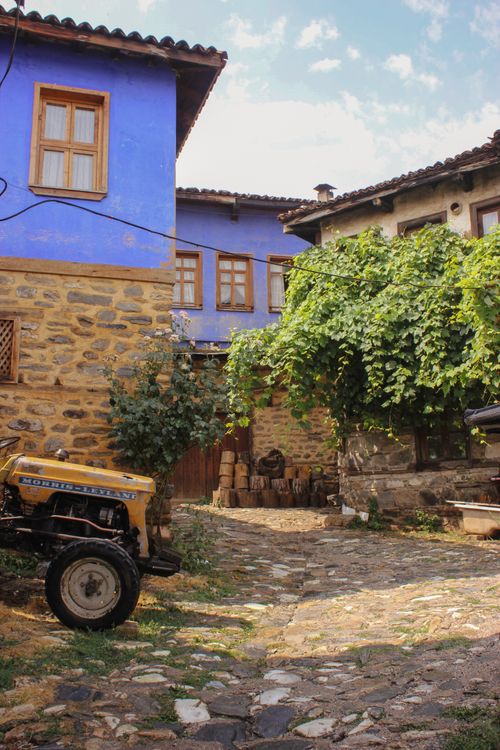 Free A quaint village courtyard with blue houses, a tractor, and lush greenery. Stock Photo