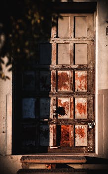 在亚利桑那州凤凰城温暖的日落阳光下，一扇饱经风霜的质朴木门被捕捉下来