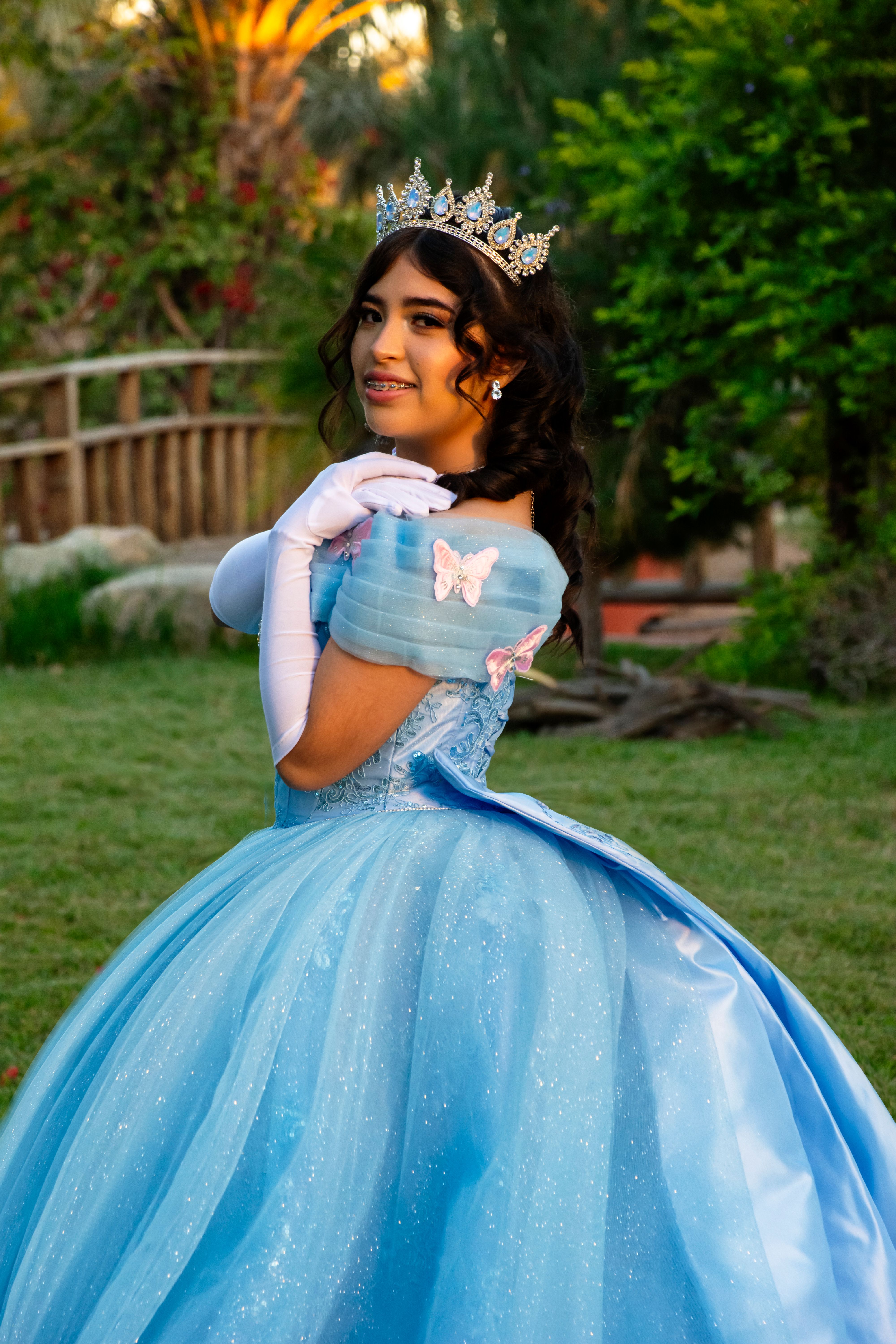 Princess Gown Photos, Download The BEST Free Princess Gown Stock Photos &  HD Images