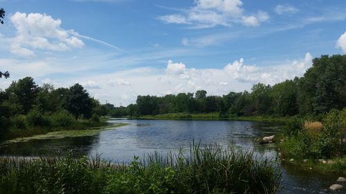 Free Peaceful summer scene of a lake surrounded by lush greenery under a bright blue sky. Stock Photo
