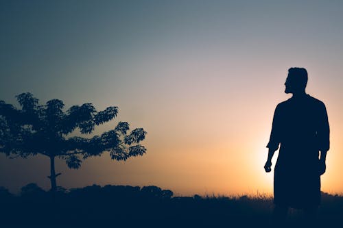 Free stock photo of african american boy, alone, beautiful sunset