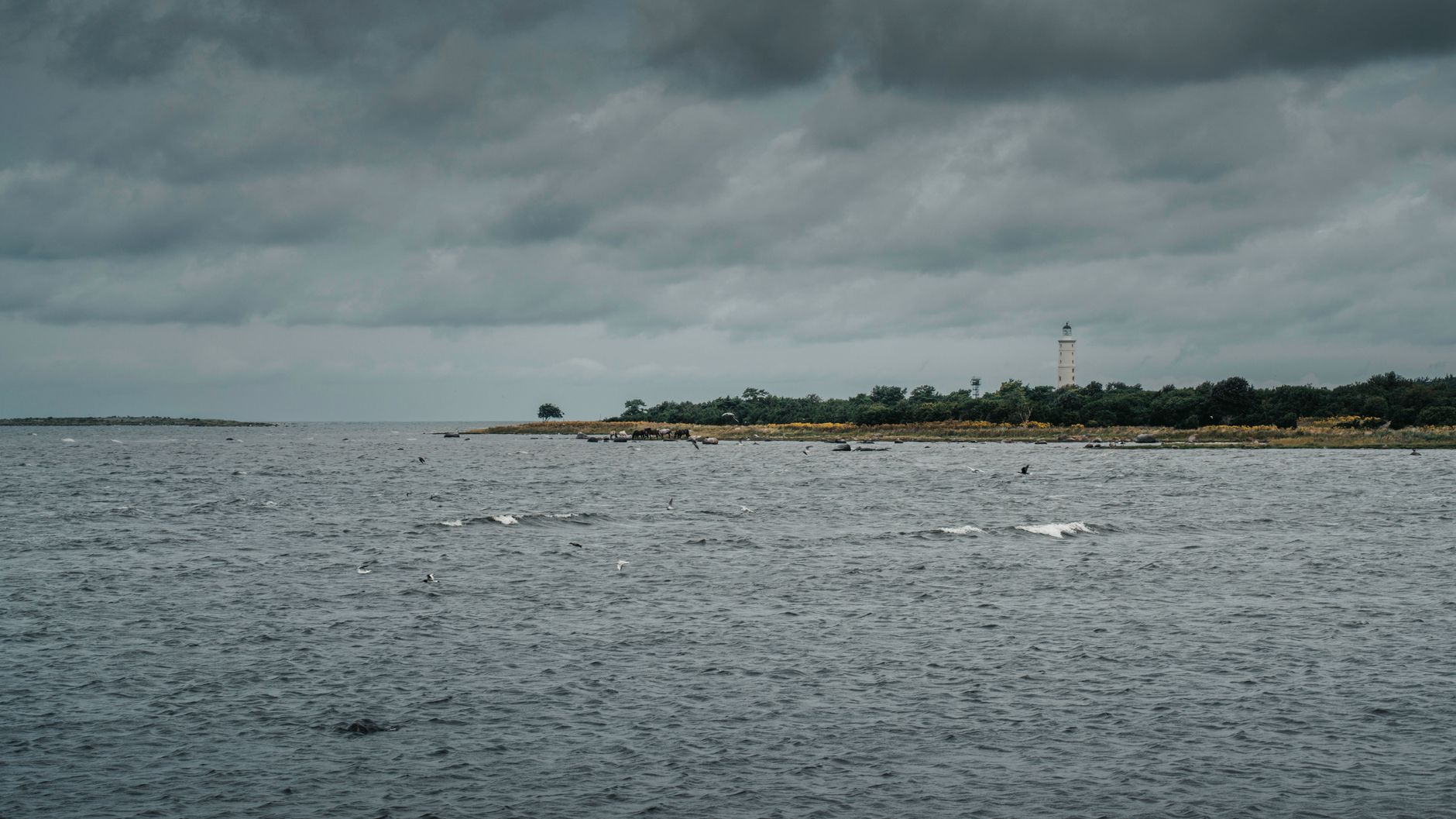 Dramatic view of Vilsandi coastline and lighthouse under a cloudy sky.