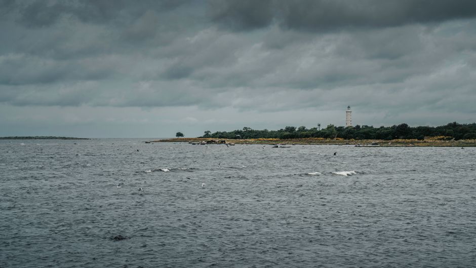 Victoria I Brings Nearly 1000 Finnish Guests to Saaremaa Harbor