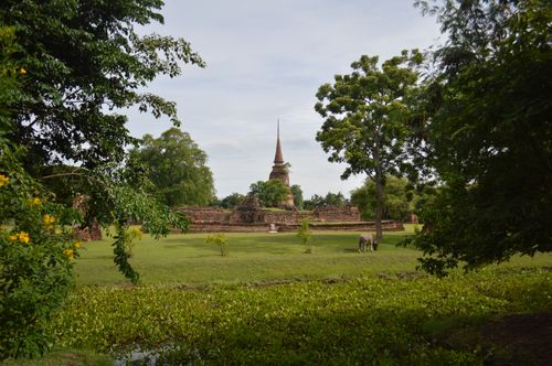 Free Historic temple ruins surrounded by lush green trees in a serene outdoor setting. Stock Photo