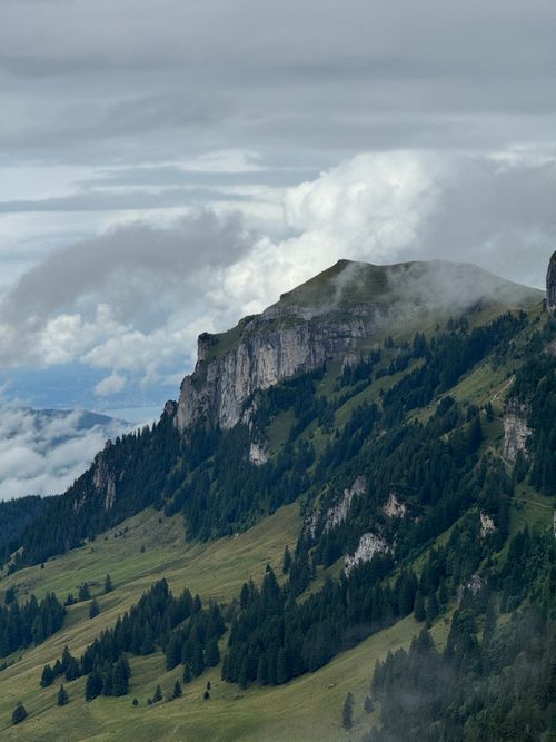 Free Misty clouds hover over a lush mountain slope, offering a serene landscape. Stock Photo