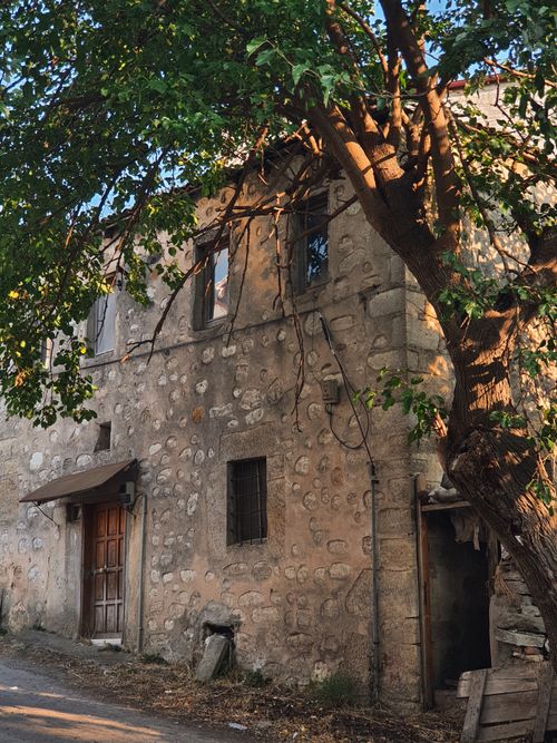 Free A charming old stone house with a tree, bathed in warm sunlight, in a quaint Turkish village. Stock Photo