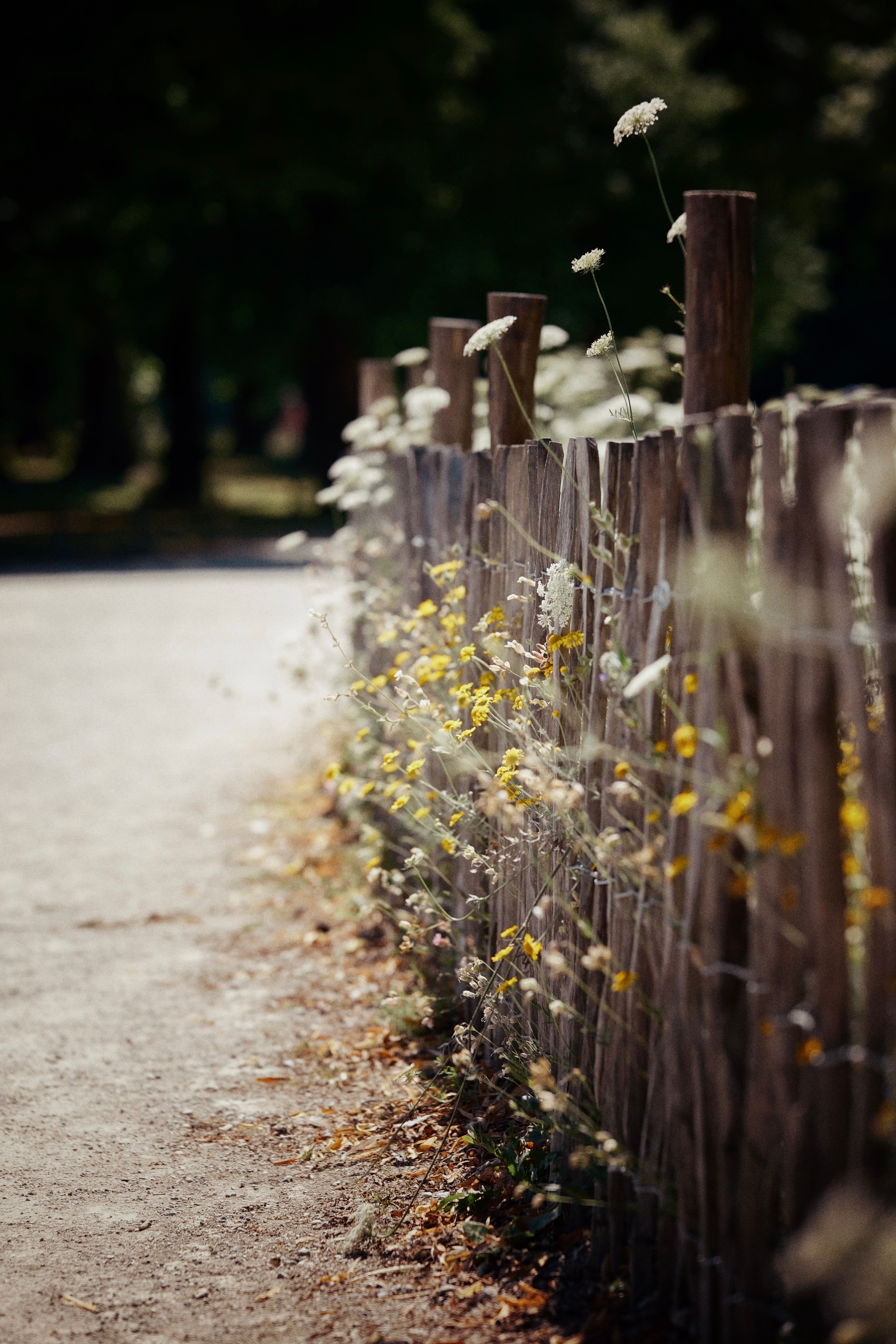 Spring Rustic Powerpoint Border Photos, Download The BEST Free Spring ...
