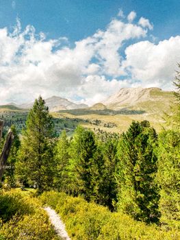 Serene view of green pine forests and majestic mountains under a bright blue sky.