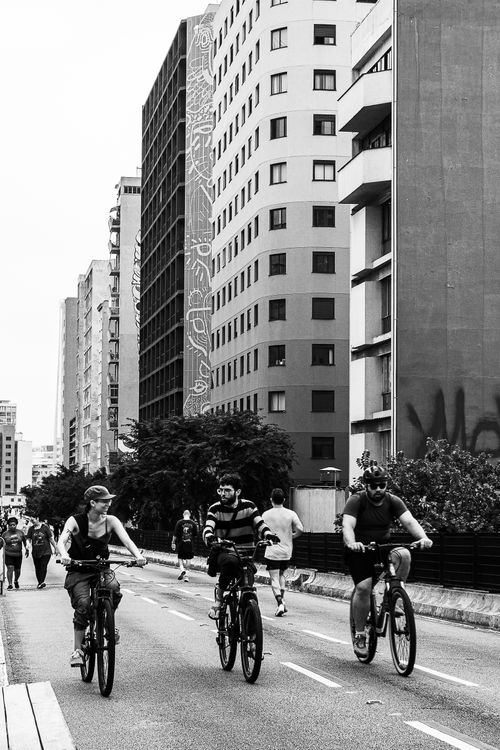 Free Black and white photo of cyclists riding bikes through urban streets, showcasing city life. Stock Photo