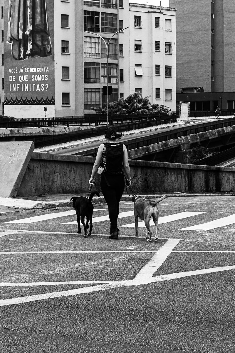 Riverside Tail Wagglers group dog walk