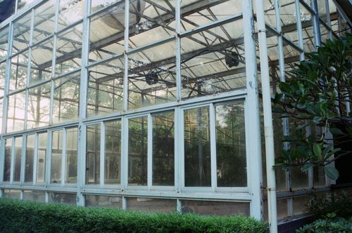 Free Glass greenhouse exterior surrounded by lush greenery in daylight. Stock Photo