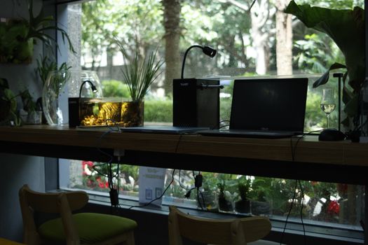 A serene indoor workspace featuring a laptop, aquarium, and potted plants by the window.