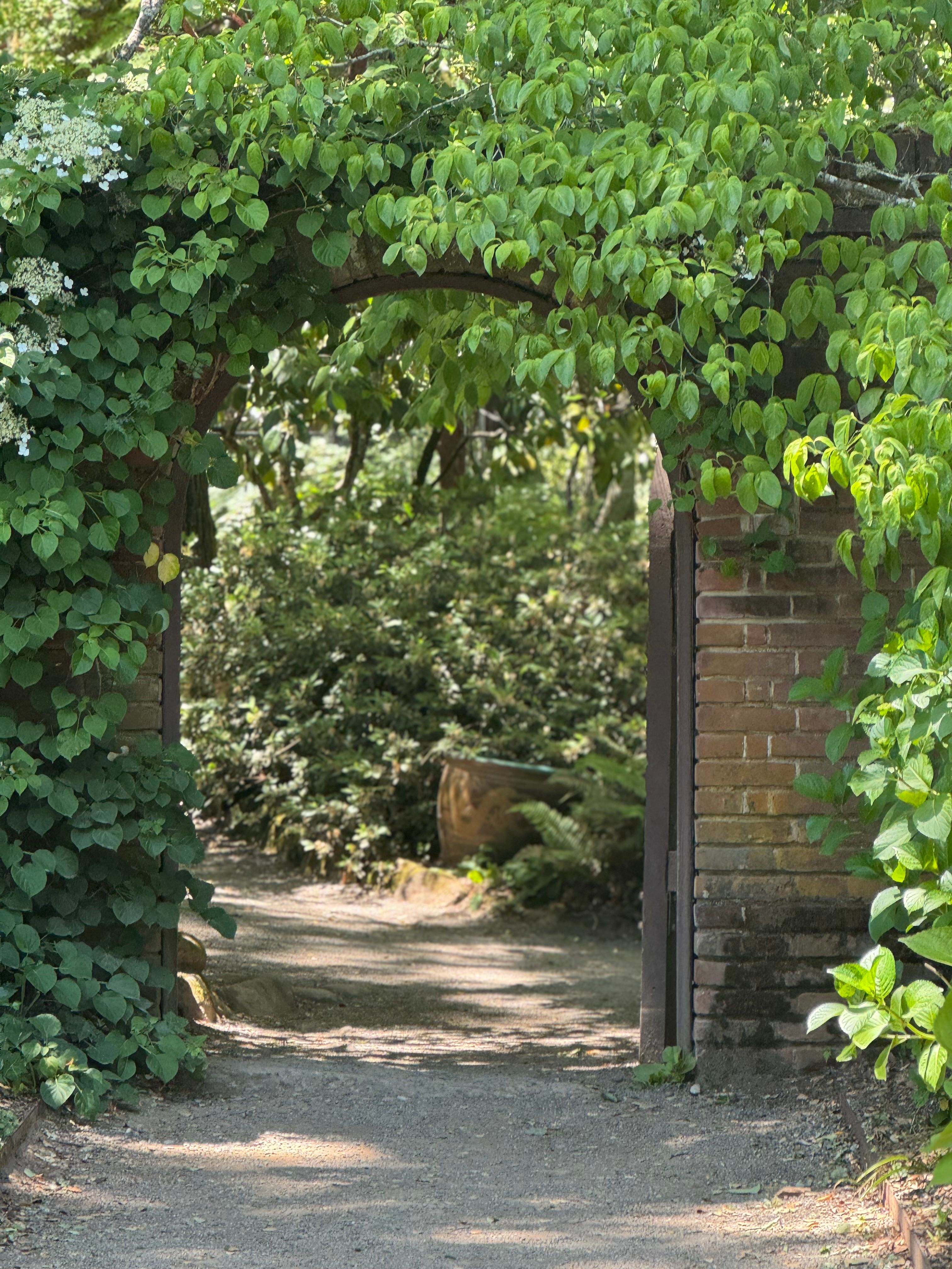 Lush Garden Archway with Blooming Flowers · Free Stock Photo
