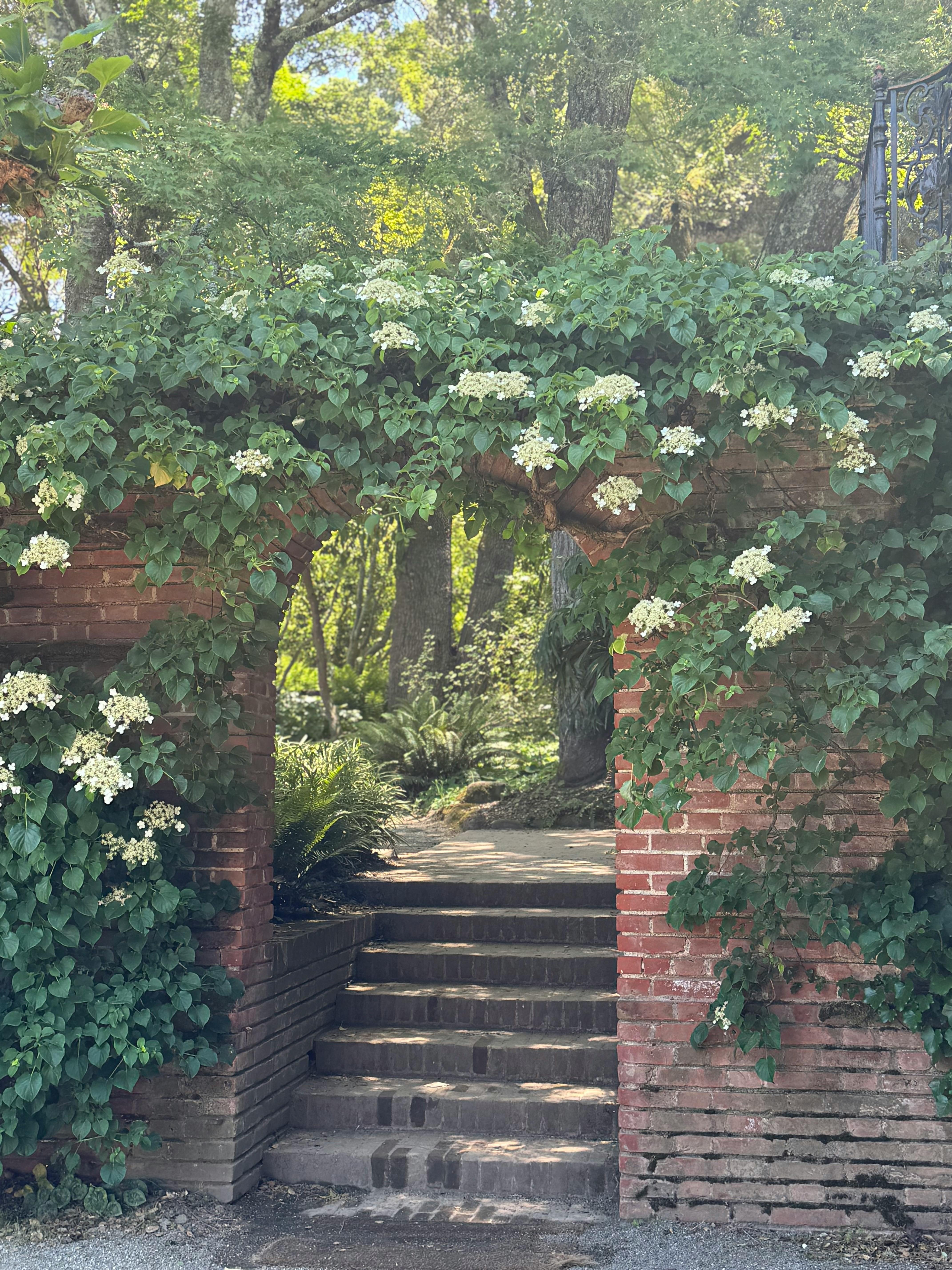 Beautiful English garden