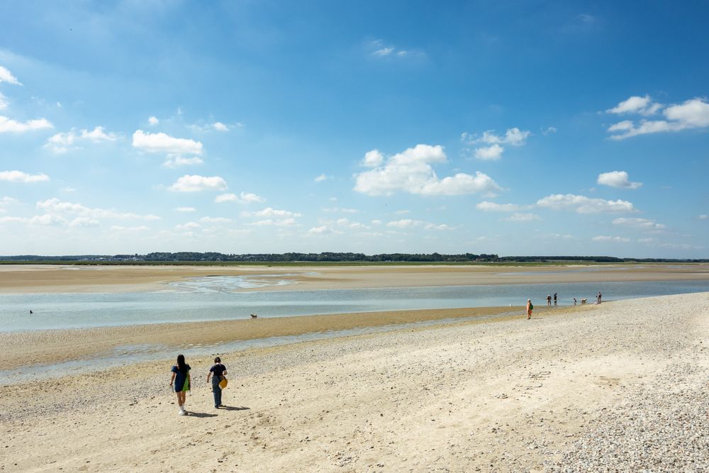 School trip to Picardy and the Somme Bay — seal watching, Marquenterre bird reserve and land sailing
