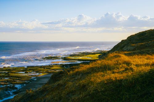 Free Stunning coastal landscape at Bahía Creek with ocean waves and golden grasses. Ideal for nature enthusiasts. Stock Photo