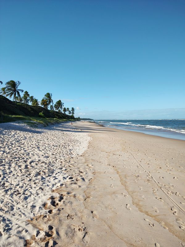 Praia tropical deslumbrante com palmeiras e céu azul claro, perfeita para uma escapada serena de verão.