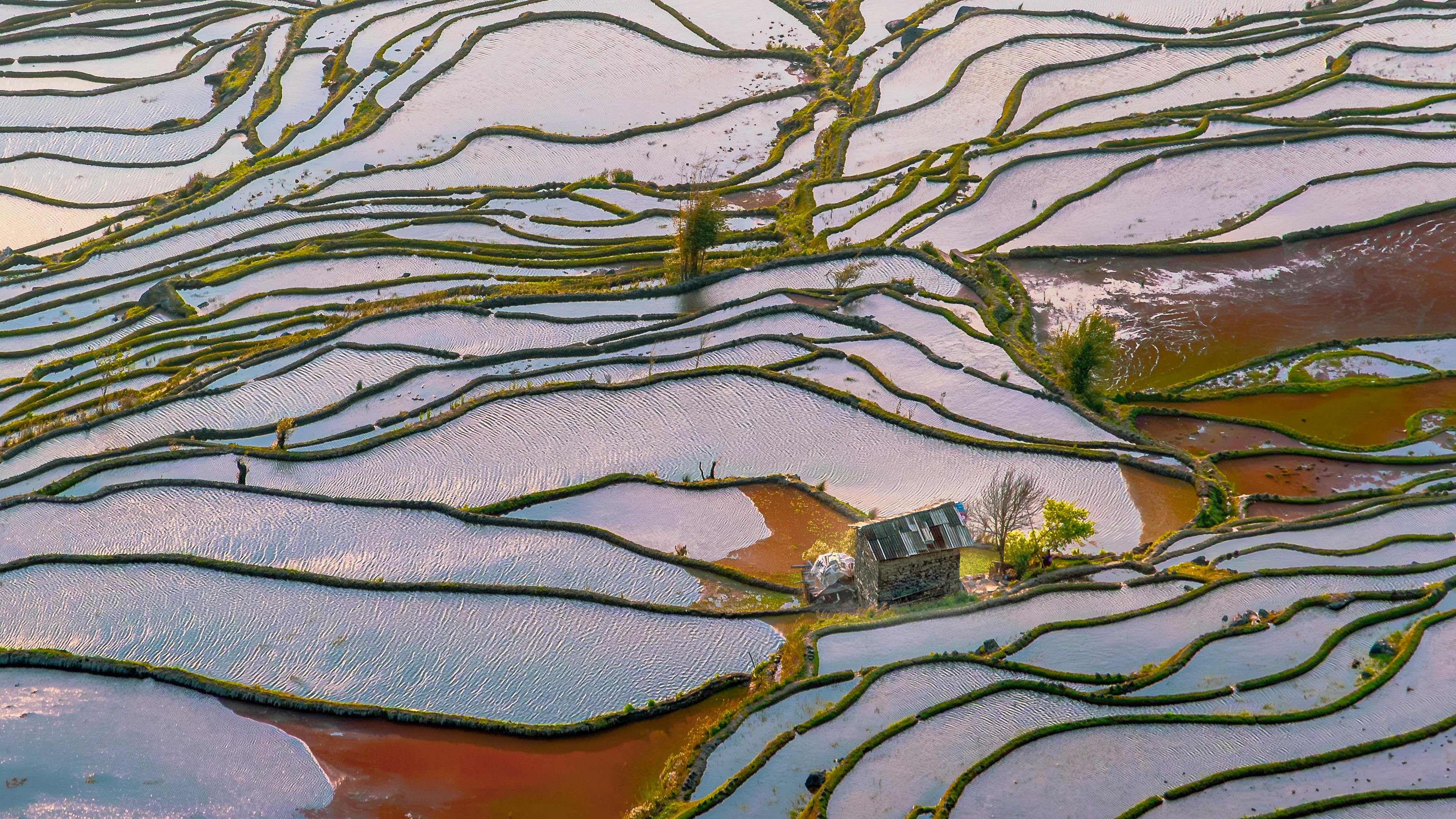 Yuanyang Rice Terraces — Yunnan China