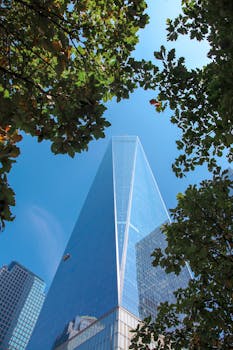 View of One World Trade Center framed by lush green leaves against a blue sky.