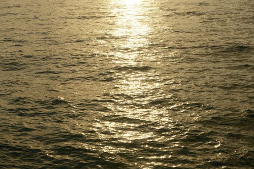 Free Sunset light shimmering on ocean waves, creating a golden and serene landscape. Stock Photo