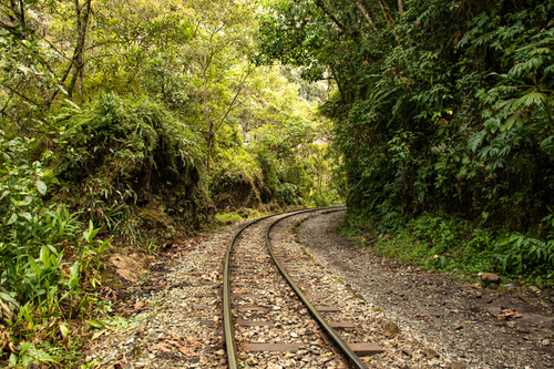 Free Tranquil railway track winding through lush, green forest in Cuzco, Peru. Perfect for travel and nature themes. Stock Photo