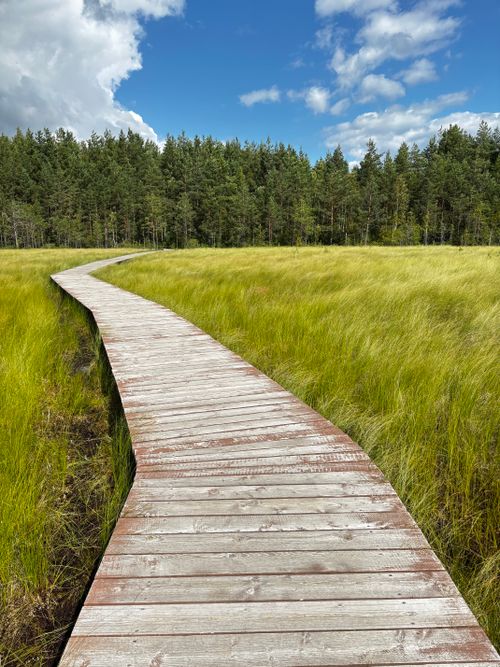 Free A tranquil boardwalk stretches through a vibrant green meadow under a bright blue sky. Stock Photo
