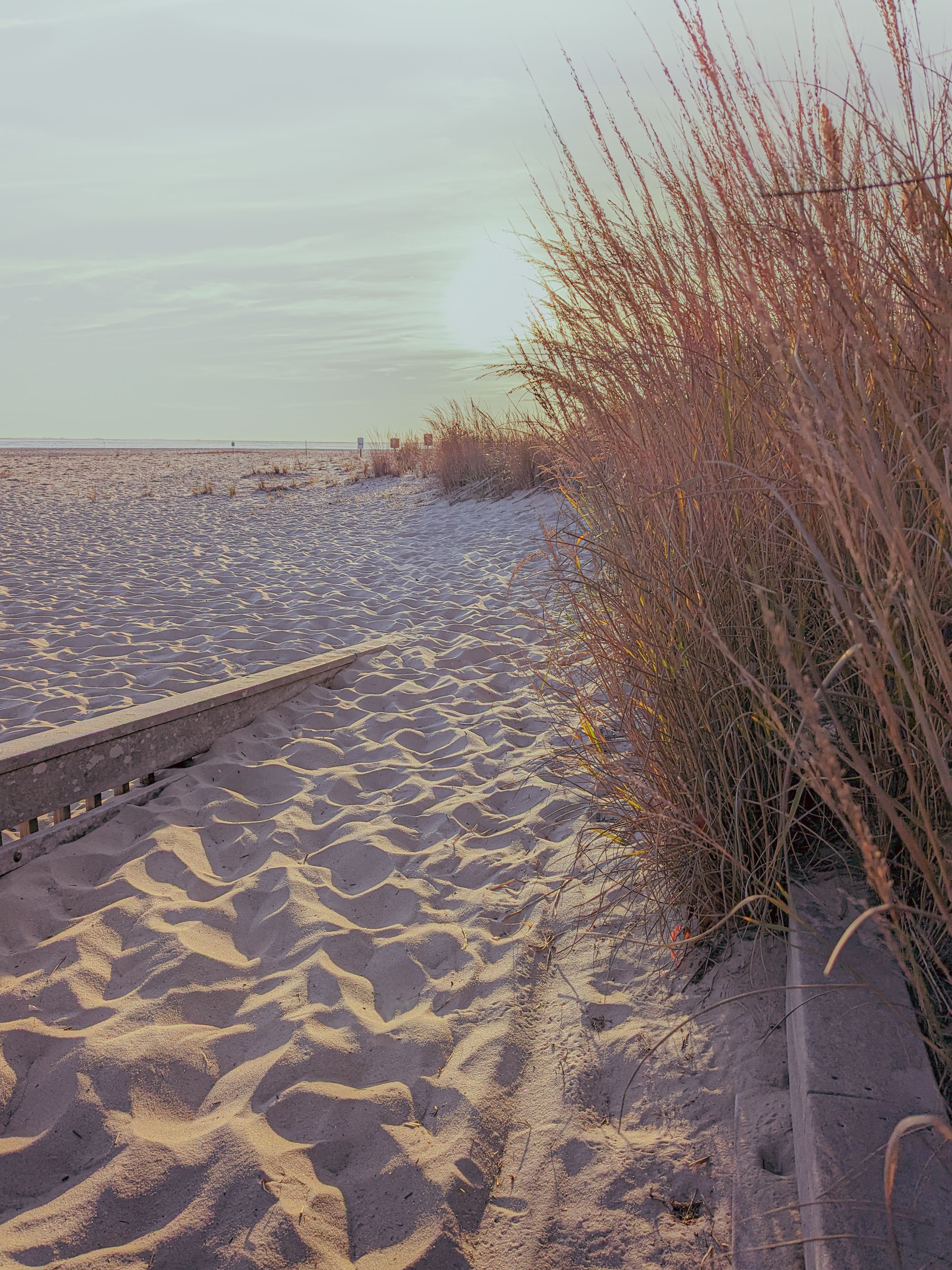 Sandy beach path through golden dunes at sunset on the Jersey Shore