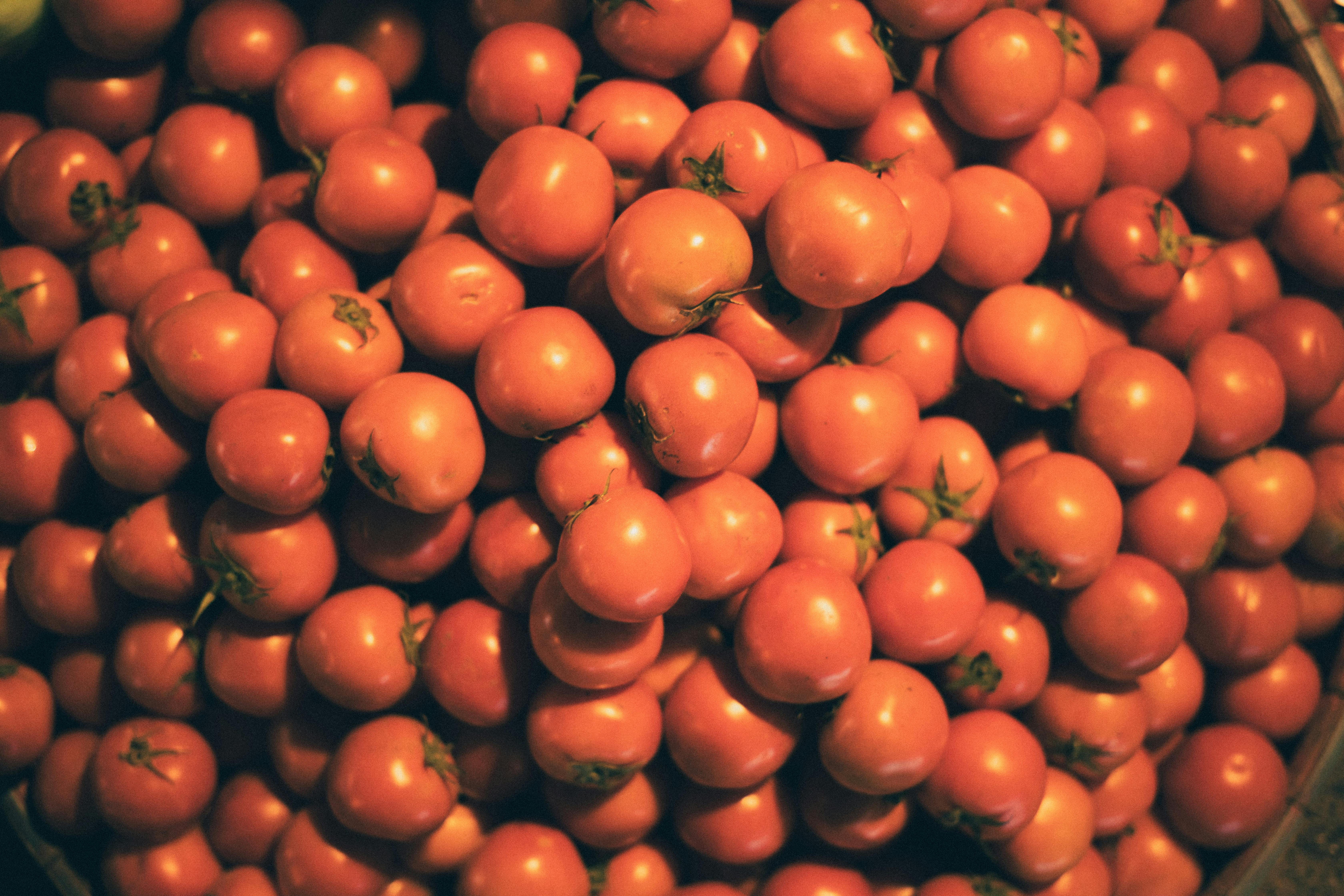 Revolutionary Diets Changing Lives and Food as Medicine