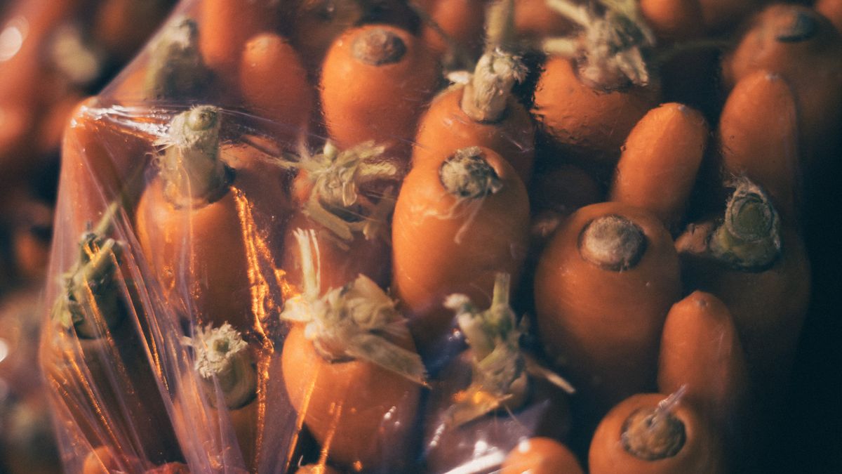 Comment réussir le semis de carottes en pot - illustration