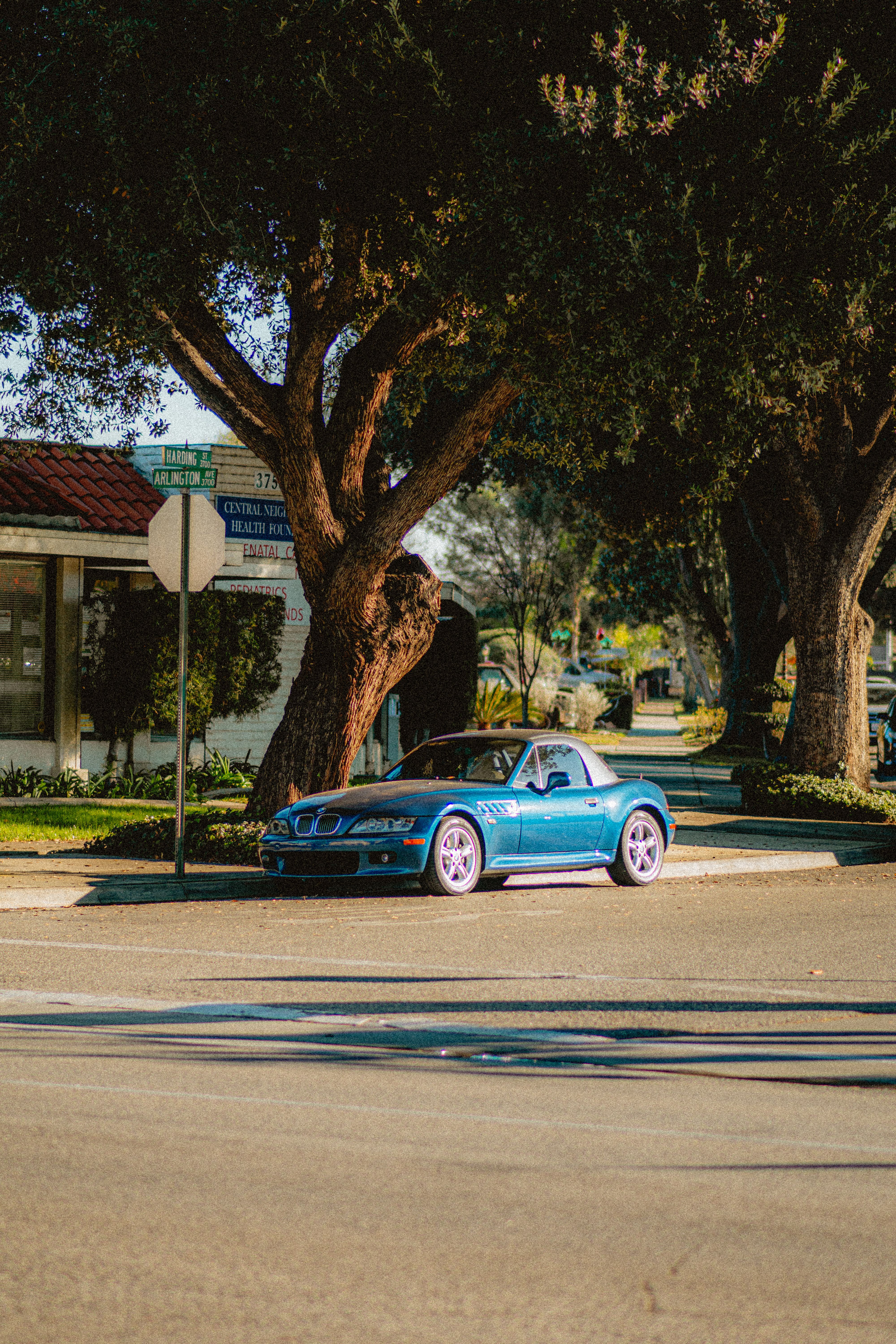 Vibrant Blue Sports Car Parked Under Trees · Free Stock Photo