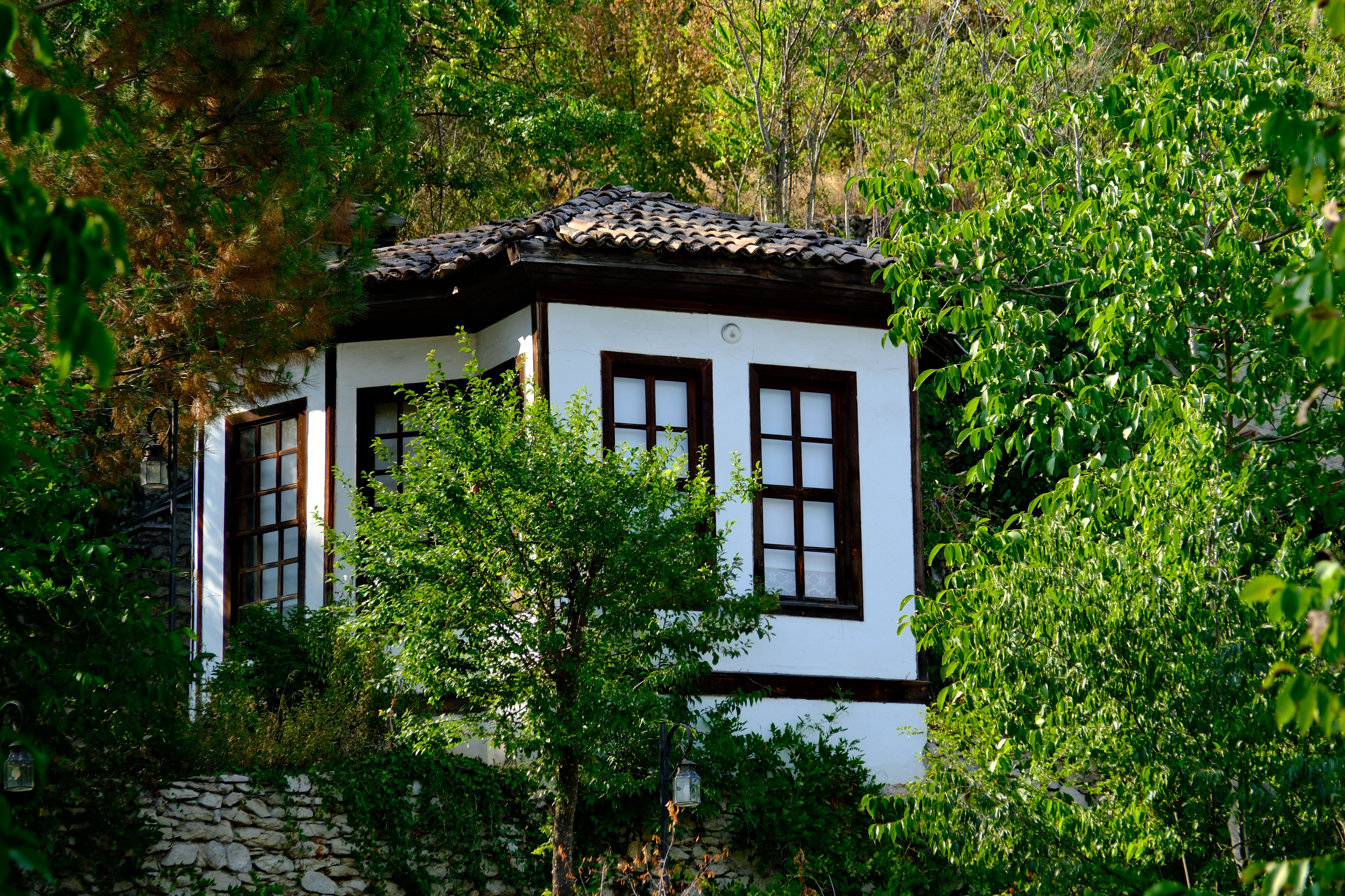 Charming Traditional House in Lush Greenery · Free Stock Photo
