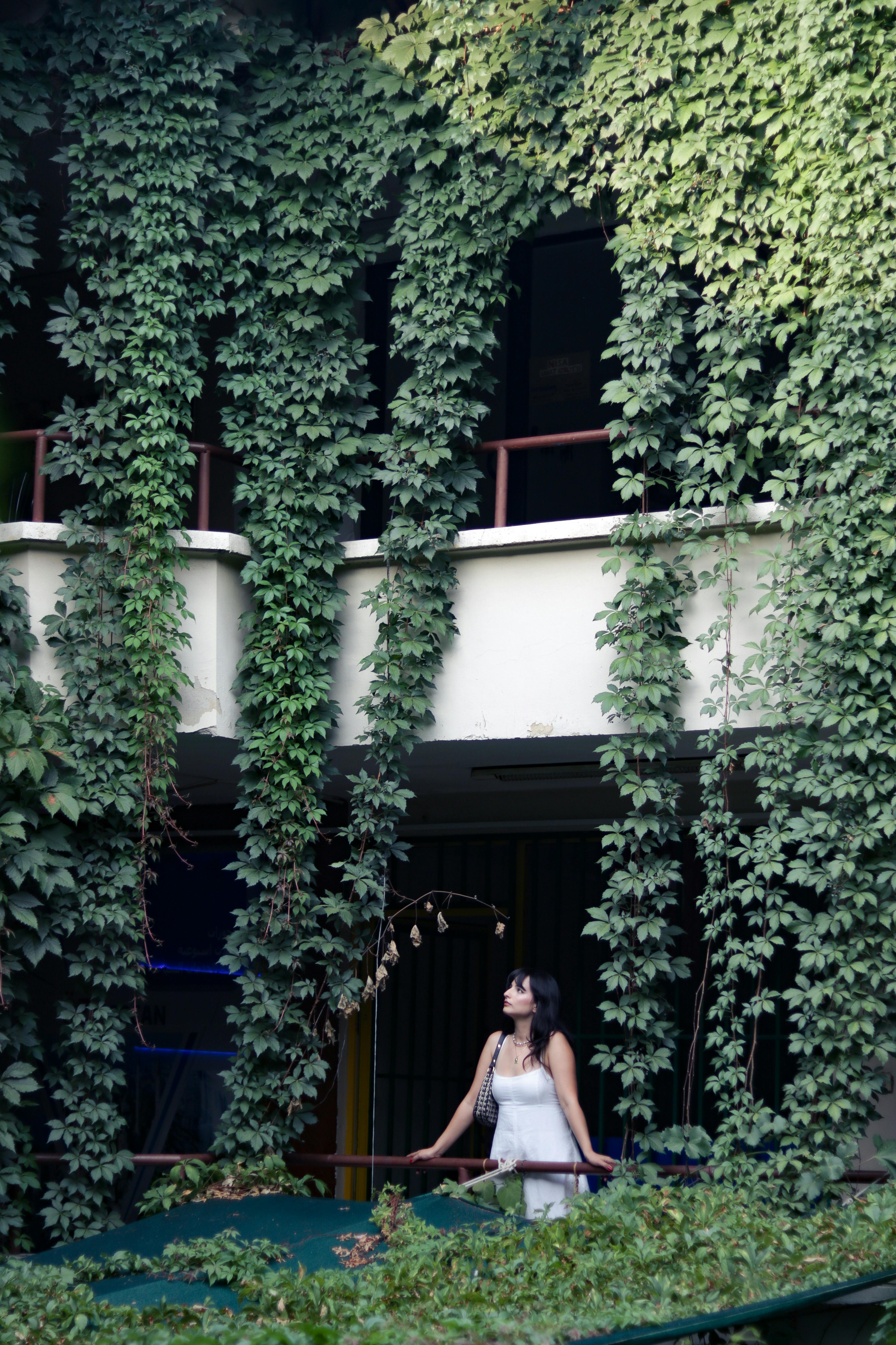 The Unboxing: Let's Admire the Kawaii!