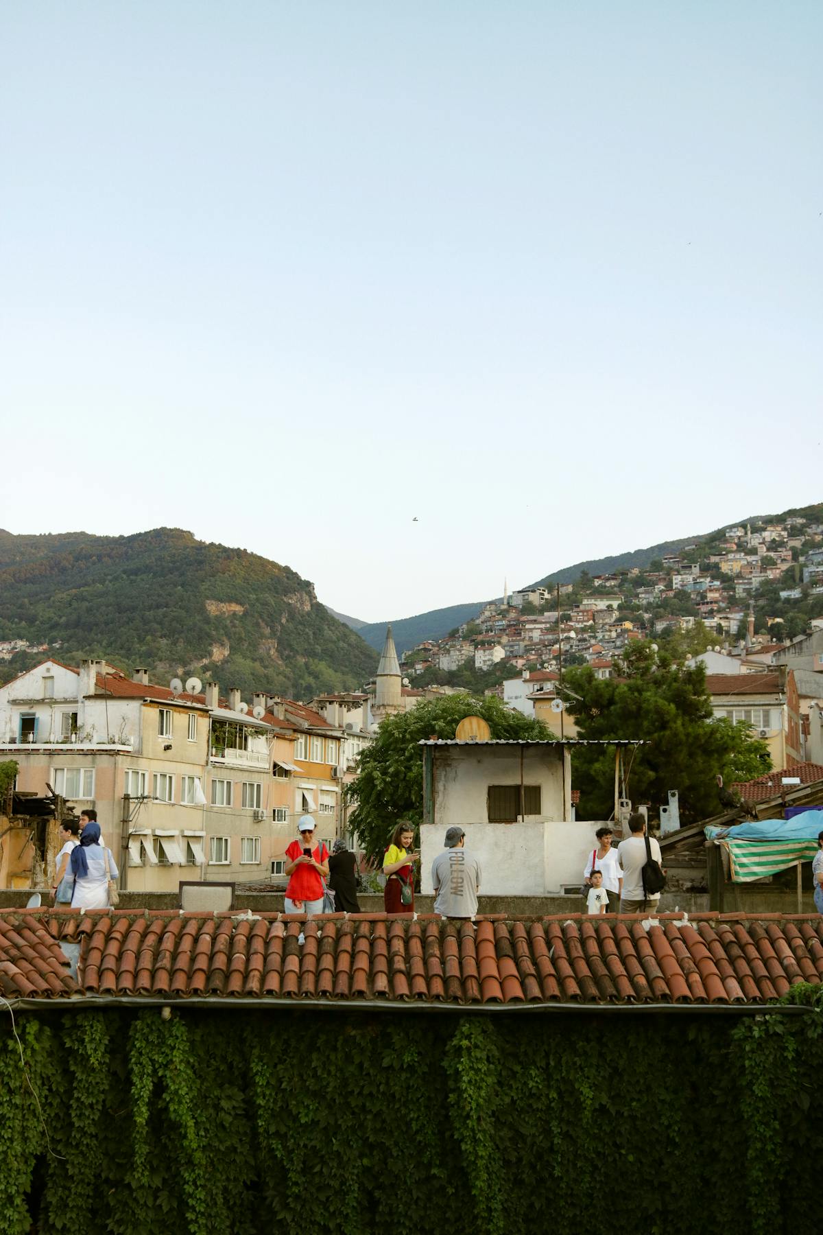 Full+Hd+Wallpapers+1920x1080+Of+Wollyubong+Mountain Photos, Download ...