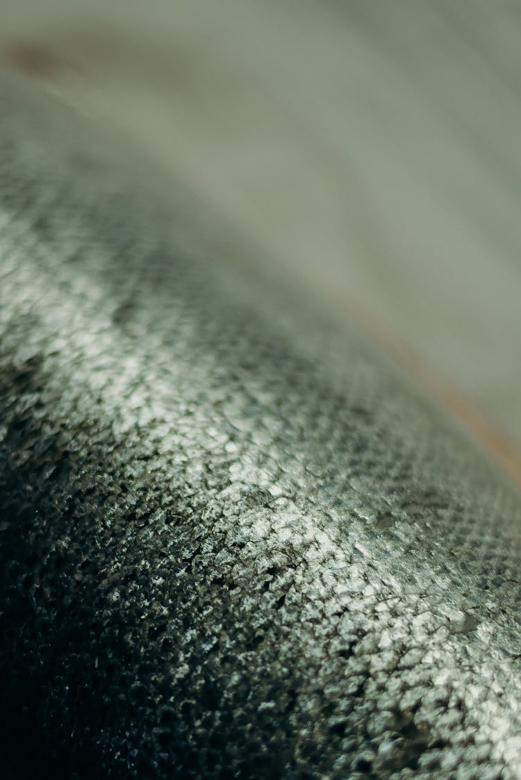 Close-Up View Of Fish Scales